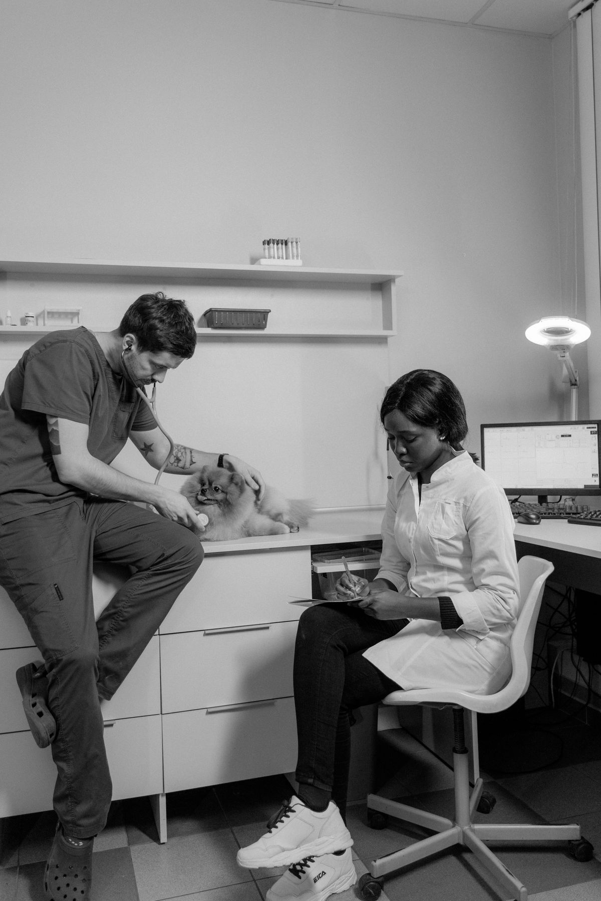 Practice leadership reviewing a patient's information alongside a veterinary colleague